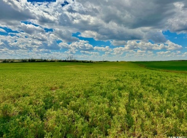 Rural Address, Gull Lake Rm No. 139, Saskatchewan S0N 0B2, ,Farm,For Sale,Gull Lake 1,432 acres Farmland,Rural Address,SK983787