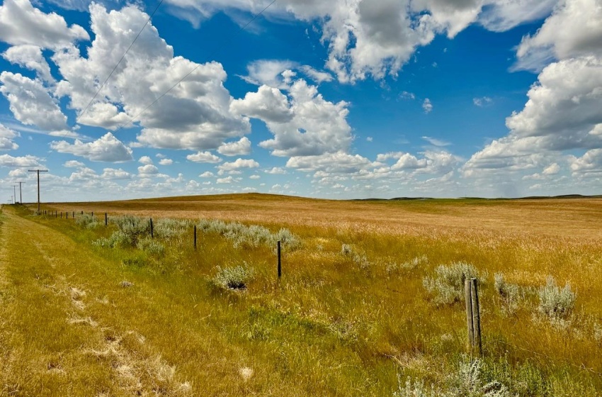 Rural Address, Gull Lake Rm No. 139, Saskatchewan S0N 0B2, ,Farm,For Sale,Gull Lake 1,432 acres Farmland,Rural Address,SK983787