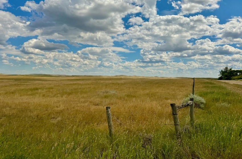 Rural Address, Gull Lake Rm No. 139, Saskatchewan S0N 0B2, ,Farm,For Sale,Gull Lake 1,432 acres Farmland,Rural Address,SK983787