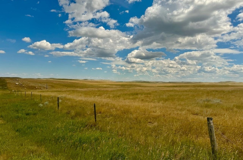 Rural Address, Gull Lake Rm No. 139, Saskatchewan S0N 0B2, ,Farm,For Sale,Gull Lake 1,432 acres Farmland,Rural Address,SK983787