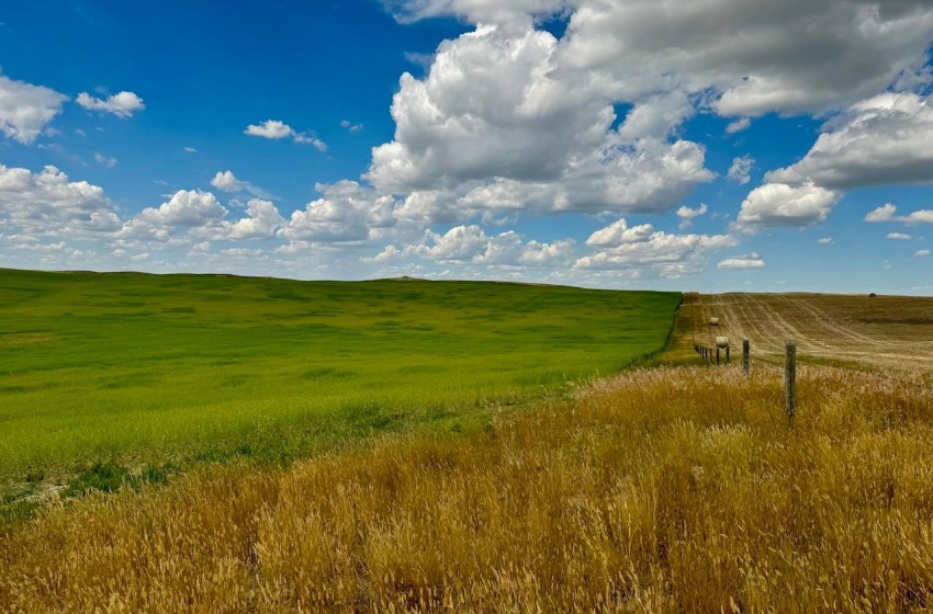 Rural Address, Gull Lake Rm No. 139, Saskatchewan S0N 0B2, ,Farm,For Sale,Gull Lake 1,432 acres Farmland,Rural Address,SK983787