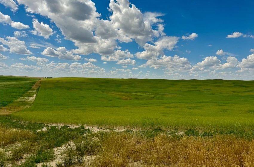 Rural Address, Gull Lake Rm No. 139, Saskatchewan S0N 0B2, ,Farm,For Sale,Gull Lake 1,432 acres Farmland,Rural Address,SK983787