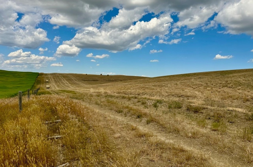 Rural Address, Gull Lake Rm No. 139, Saskatchewan S0N 0B2, ,Farm,For Sale,Gull Lake 1,432 acres Farmland,Rural Address,SK983787