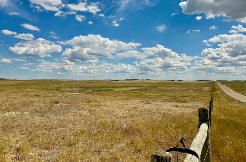 Rural Address, Gull Lake Rm No. 139, Saskatchewan S0N 0B2, ,Farm,For Sale,Gull Lake 1,432 acres Farmland,Rural Address,SK983787