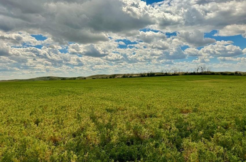 Rural Address, Gull Lake Rm No. 139, Saskatchewan S0N 0B2, ,Farm,For Sale,Gull Lake 1,432 acres Farmland,Rural Address,SK983787