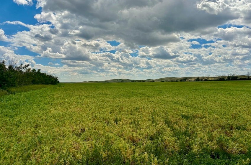 Rural Address, Gull Lake Rm No. 139, Saskatchewan S0N 0B2, ,Farm,For Sale,Gull Lake 1,432 acres Farmland,Rural Address,SK983787