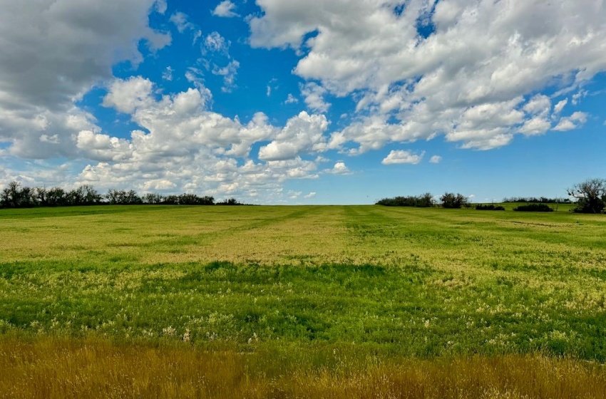 Rural Address, Gull Lake Rm No. 139, Saskatchewan S0N 0B2, ,Farm,For Sale,Gull Lake 1,432 acres Farmland,Rural Address,SK983787