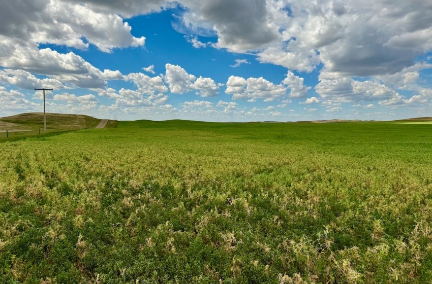 Rural Address, Gull Lake Rm No. 139, Saskatchewan S0N 0B2, ,Farm,For Sale,Gull Lake 1,432 acres Farmland,Rural Address,SK983787