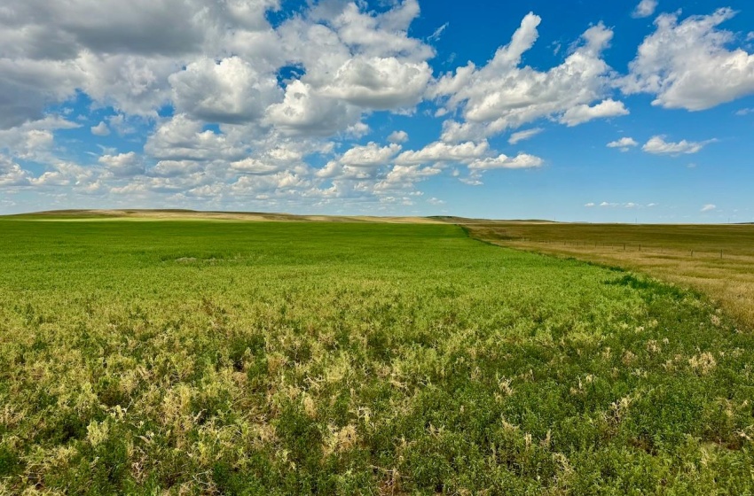 Rural Address, Gull Lake Rm No. 139, Saskatchewan S0N 0B2, ,Farm,For Sale,Gull Lake 1,432 acres Farmland,Rural Address,SK983787