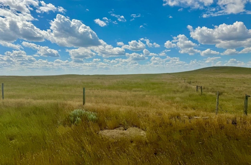 Rural Address, Gull Lake Rm No. 139, Saskatchewan S0N 0B2, ,Farm,For Sale,Gull Lake 1,432 acres Farmland,Rural Address,SK983787