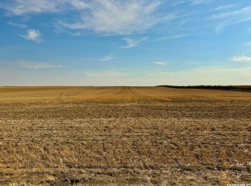 Rural Address, Clinworth Rm No. 230, Saskatchewan S0N 0C5, ,Farm,For Sale,Lemsford 638 Acres Grain Farmland,Rural Address,SK983869