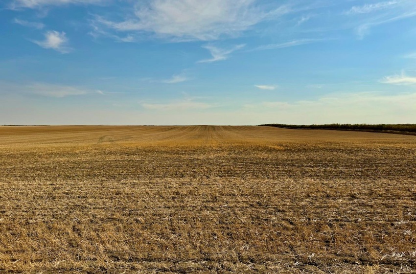 Rural Address, Clinworth Rm No. 230, Saskatchewan S0N 0C5, ,Farm,For Sale,Lemsford 638 Acres Grain Farmland,Rural Address,SK983869