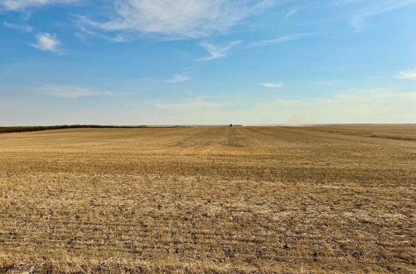 Rural Address, Clinworth Rm No. 230, Saskatchewan S0N 0C5, ,Farm,For Sale,Lemsford 638 Acres Grain Farmland,Rural Address,SK983869