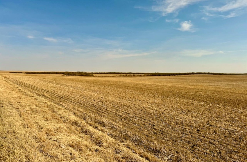 Rural Address, Clinworth Rm No. 230, Saskatchewan S0N 0C5, ,Farm,For Sale,Lemsford 638 Acres Grain Farmland,Rural Address,SK983869