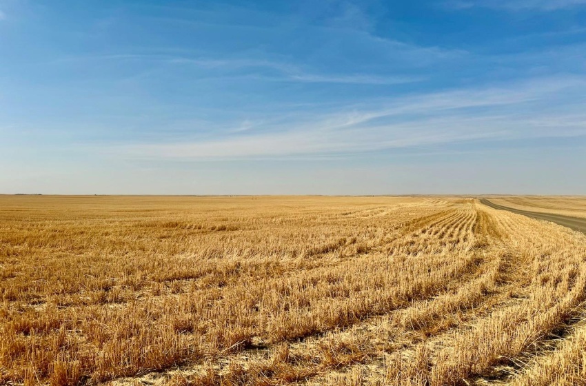 Rural Address, Clinworth Rm No. 230, Saskatchewan S0N 0C5, ,Farm,For Sale,Lemsford 638 Acres Grain Farmland,Rural Address,SK983869