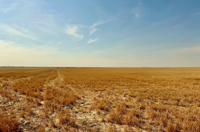 Rural Address, Clinworth Rm No. 230, Saskatchewan S0N 0C5, ,Farm,For Sale,Lemsford 638 Acres Grain Farmland,Rural Address,SK983869