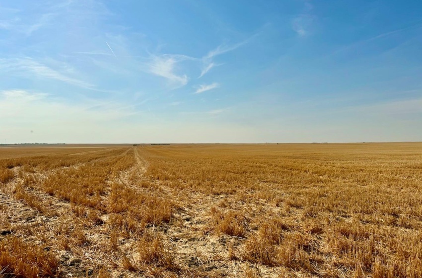 Rural Address, Clinworth Rm No. 230, Saskatchewan S0N 0C5, ,Farm,For Sale,Lemsford 638 Acres Grain Farmland,Rural Address,SK983869