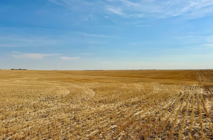 Rural Address, Miry Creek Rm No. 229, Saskatchewan S0N 2L0, ,Farm,For Sale,Shackleton 1,575 acres Grain Farmland,Rural Address,SK983881