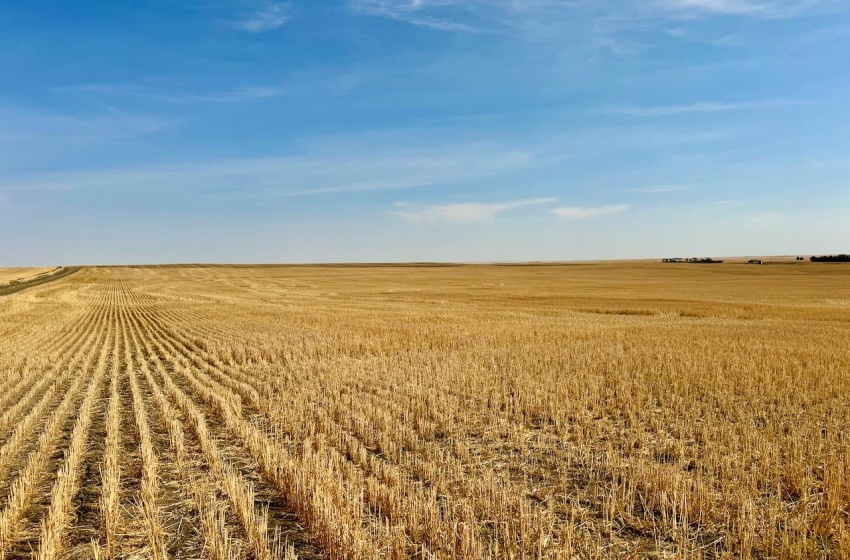 Rural Address, Miry Creek Rm No. 229, Saskatchewan S0N 2L0, ,Farm,For Sale,Shackleton 1,575 acres Grain Farmland,Rural Address,SK983881