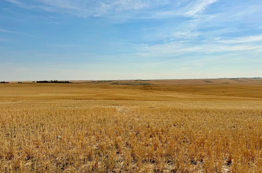 Rural Address, Miry Creek Rm No. 229, Saskatchewan S0N 2L0, ,Farm,For Sale,Shackleton 1,575 acres Grain Farmland,Rural Address,SK983881