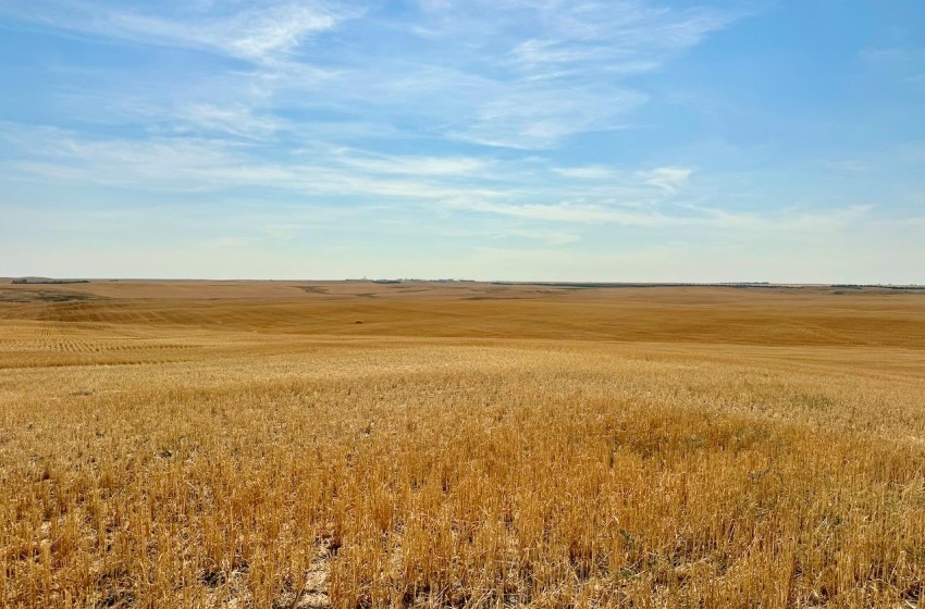 Rural Address, Miry Creek Rm No. 229, Saskatchewan S0N 2L0, ,Farm,For Sale,Shackleton 1,575 acres Grain Farmland,Rural Address,SK983881