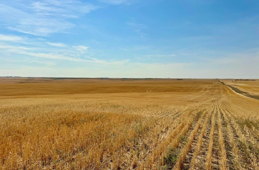 Rural Address, Miry Creek Rm No. 229, Saskatchewan S0N 2L0, ,Farm,For Sale,Shackleton 1,575 acres Grain Farmland,Rural Address,SK983881