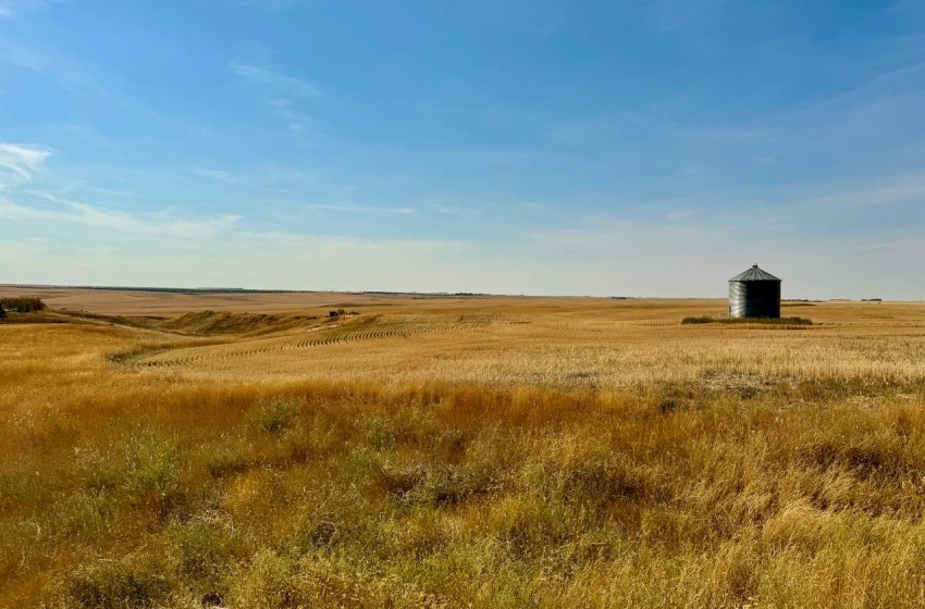 Rural Address, Miry Creek Rm No. 229, Saskatchewan S0N 2L0, ,Farm,For Sale,Shackleton 1,575 acres Grain Farmland,Rural Address,SK983881