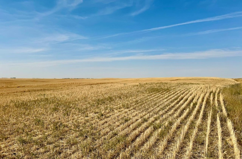 Rural Address, Miry Creek Rm No. 229, Saskatchewan S0N 2L0, ,Farm,For Sale,Shackleton 1,575 acres Grain Farmland,Rural Address,SK983881