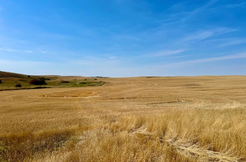 Rural Address, Miry Creek Rm No. 229, Saskatchewan S0N 2L0, ,Farm,For Sale,Shackleton 1,575 acres Grain Farmland,Rural Address,SK983881