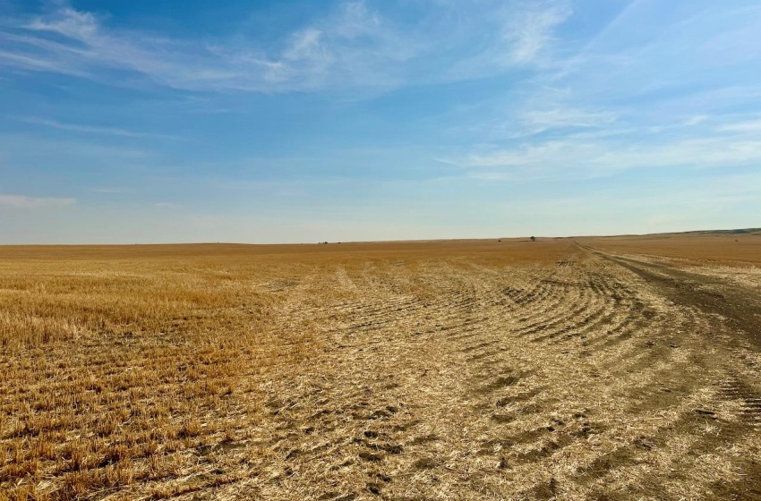 Rural Address, Miry Creek Rm No. 229, Saskatchewan S0N 2L0, ,Farm,For Sale,Shackleton 1,575 acres Grain Farmland,Rural Address,SK983881