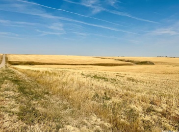 Rural Address, Miry Creek Rm No. 229, Saskatchewan S0N 2L0, ,Farm,For Sale,Shackleton 1,575 acres Grain Farmland,Rural Address,SK983881