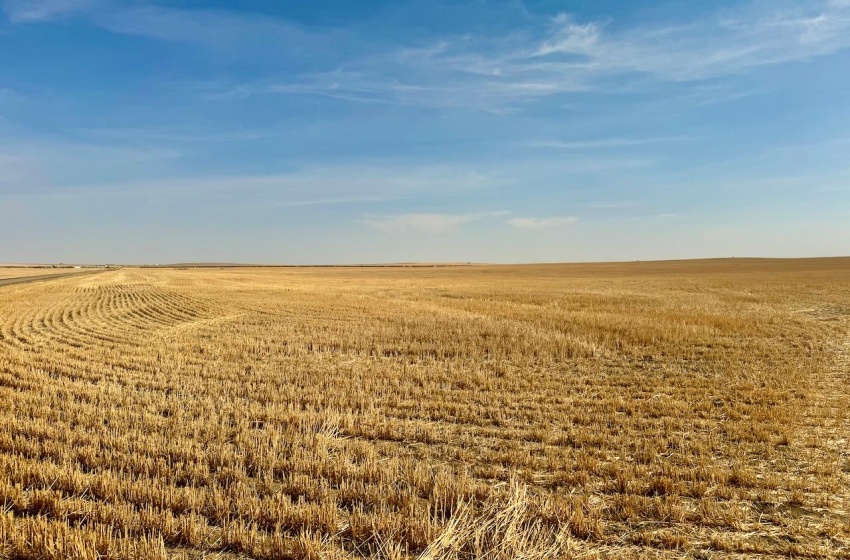 Rural Address, Miry Creek Rm No. 229, Saskatchewan S0N 2L0, ,Farm,For Sale,Shackleton 1,575 acres Grain Farmland,Rural Address,SK983881