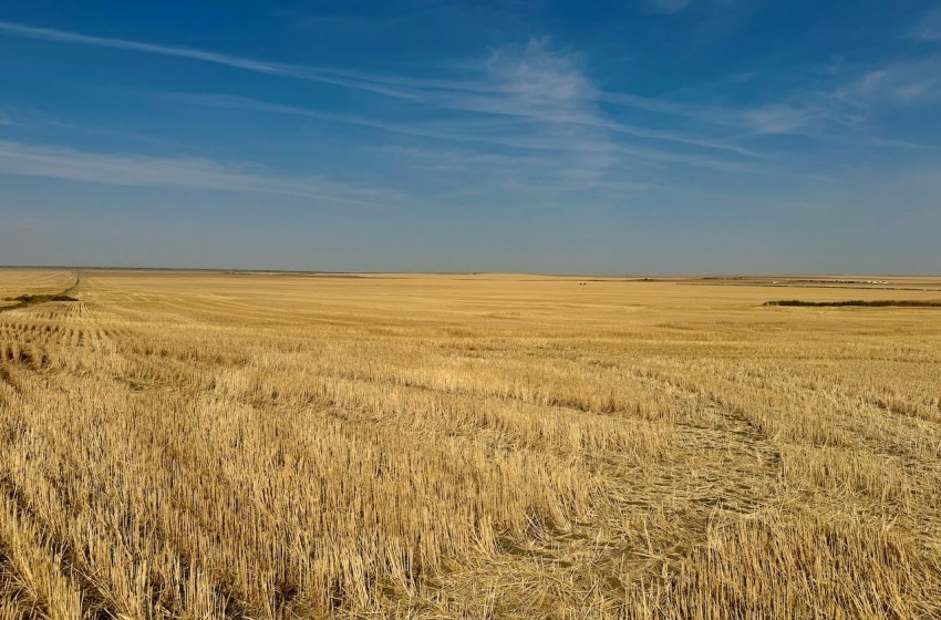 Rural Address, Miry Creek Rm No. 229, Saskatchewan S0N 2L0, ,Farm,For Sale,Shackleton 1,575 acres Grain Farmland,Rural Address,SK983881