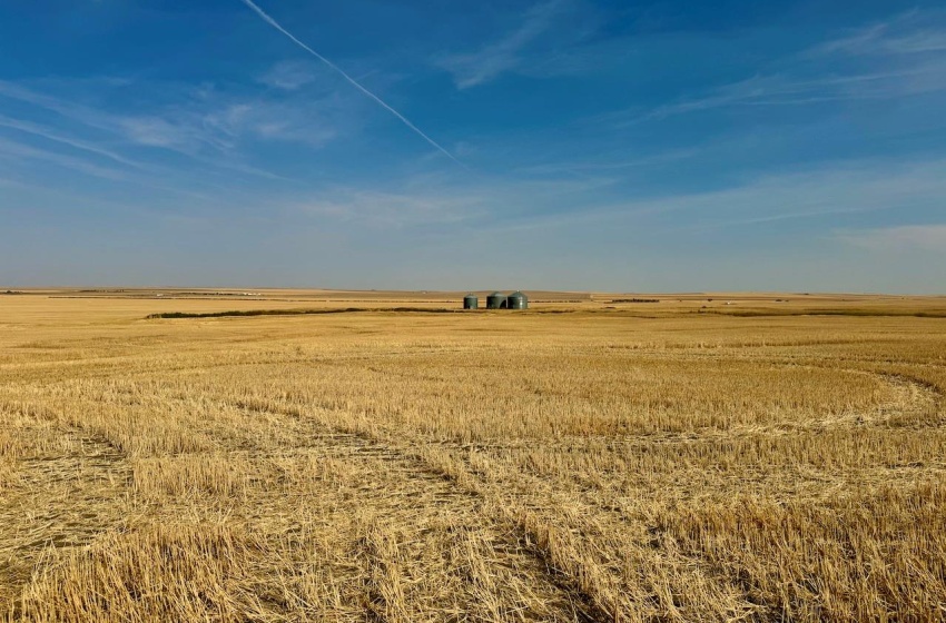 Rural Address, Miry Creek Rm No. 229, Saskatchewan S0N 2L0, ,Farm,For Sale,Shackleton 1,575 acres Grain Farmland,Rural Address,SK983881