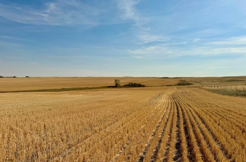 Rural Address, Miry Creek Rm No. 229, Saskatchewan S0N 2L0, ,Farm,For Sale,Shackleton 1,575 acres Grain Farmland,Rural Address,SK983881