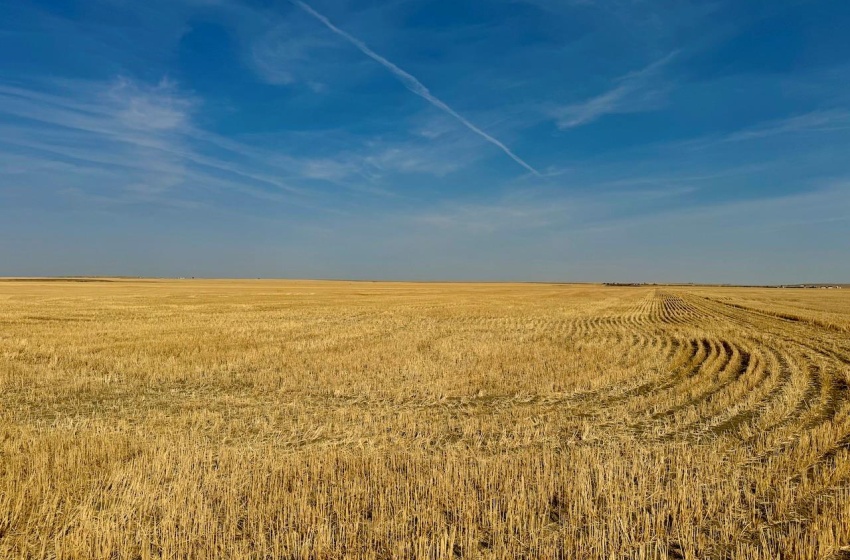 Rural Address, Miry Creek Rm No. 229, Saskatchewan S0N 2L0, ,Farm,For Sale,Shackleton 1,575 acres Grain Farmland,Rural Address,SK983881