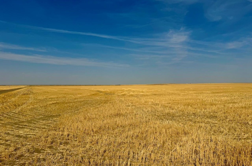 Rural Address, Miry Creek Rm No. 229, Saskatchewan S0N 2L0, ,Farm,For Sale,Shackleton 1,575 acres Grain Farmland,Rural Address,SK983881