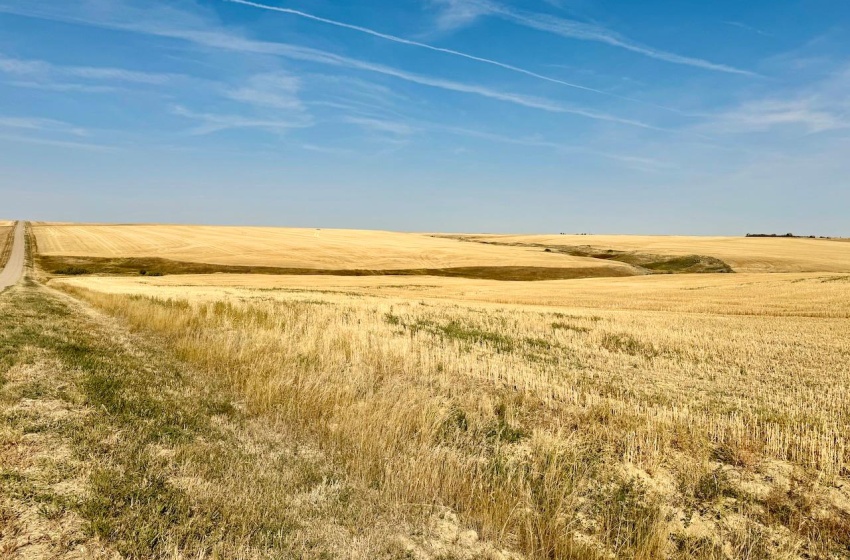 Rural Address, Miry Creek Rm No. 229, Saskatchewan S0N 2L0, ,Farm,For Sale,Shackleton 1,575 acres Grain Farmland,Rural Address,SK983881