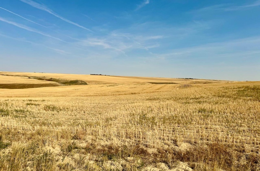 Rural Address, Miry Creek Rm No. 229, Saskatchewan S0N 2L0, ,Farm,For Sale,Shackleton 1,575 acres Grain Farmland,Rural Address,SK983881