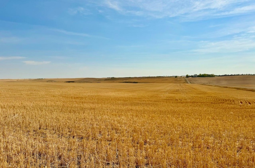 Rural Address, Miry Creek Rm No. 229, Saskatchewan S0N 2L0, ,Farm,For Sale,Shackleton 1,575 acres Grain Farmland,Rural Address,SK983881