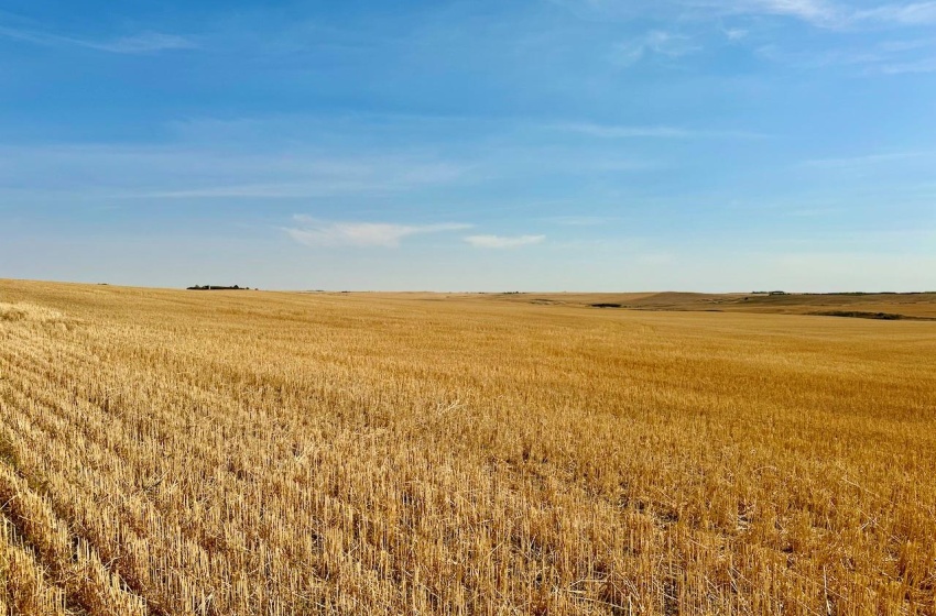 Rural Address, Miry Creek Rm No. 229, Saskatchewan S0N 2L0, ,Farm,For Sale,Shackleton 1,575 acres Grain Farmland,Rural Address,SK983881