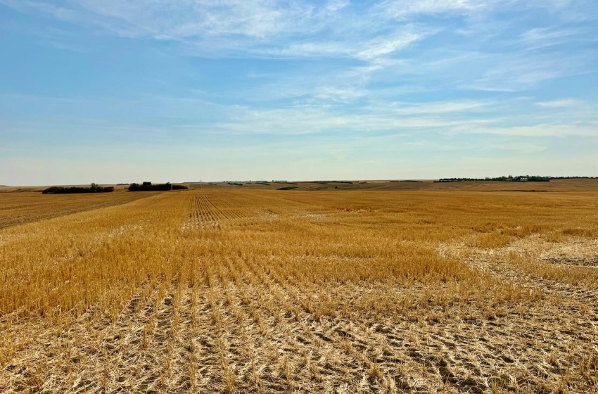 Rural Address, Miry Creek Rm No. 229, Saskatchewan S0N 2L0, ,Farm,For Sale,Shackleton 1,575 acres Grain Farmland,Rural Address,SK983881