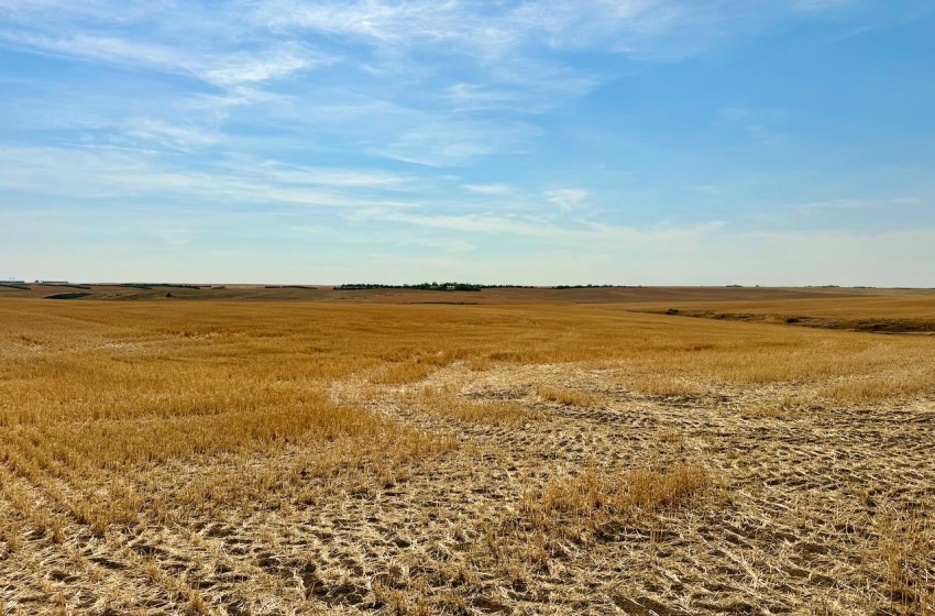 Rural Address, Miry Creek Rm No. 229, Saskatchewan S0N 2L0, ,Farm,For Sale,Shackleton 1,575 acres Grain Farmland,Rural Address,SK983881