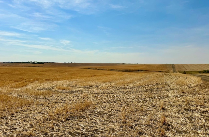 Rural Address, Miry Creek Rm No. 229, Saskatchewan S0N 2L0, ,Farm,For Sale,Shackleton 1,575 acres Grain Farmland,Rural Address,SK983881