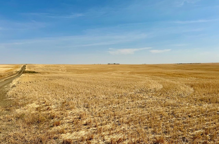 Rural Address, Miry Creek Rm No. 229, Saskatchewan S0N 2L0, ,Farm,For Sale,Shackleton 1,575 acres Grain Farmland,Rural Address,SK983881