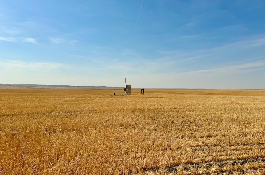 Rural Address, Miry Creek Rm No. 229, Saskatchewan S0N 2L0, ,Farm,For Sale,Shackleton 1,941 acres Grain Farmland (Northeast),Rural Address,SK983901