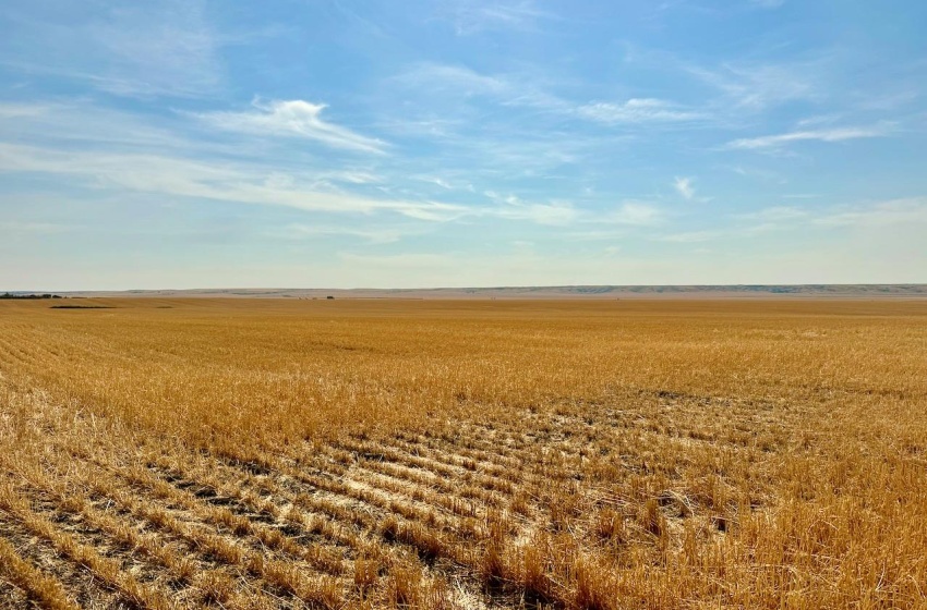 Rural Address, Miry Creek Rm No. 229, Saskatchewan S0N 2L0, ,Farm,For Sale,Shackleton 1,941 acres Grain Farmland (Northeast),Rural Address,SK983901