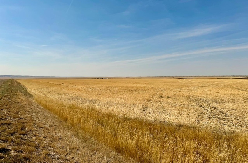 Rural Address, Miry Creek Rm No. 229, Saskatchewan S0N 2L0, ,Farm,For Sale,Shackleton 1,941 acres Grain Farmland (Northeast),Rural Address,SK983901