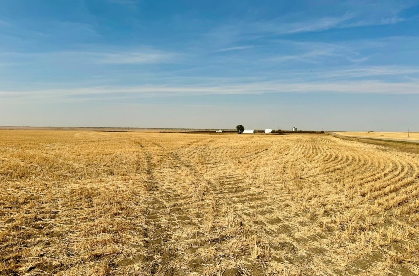 Rural Address, Miry Creek Rm No. 229, Saskatchewan S0N 2L0, ,Farm,For Sale,Shackleton 1,941 acres Grain Farmland (Northeast),Rural Address,SK983901