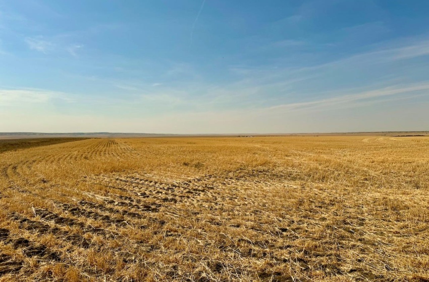 Rural Address, Miry Creek Rm No. 229, Saskatchewan S0N 2L0, ,Farm,For Sale,Shackleton 1,941 acres Grain Farmland (Northeast),Rural Address,SK983901